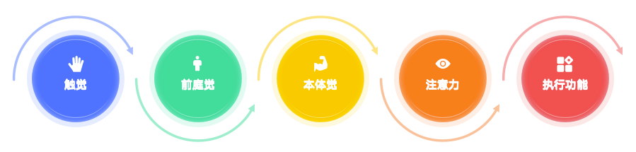 感觉统合能力评估五大领域